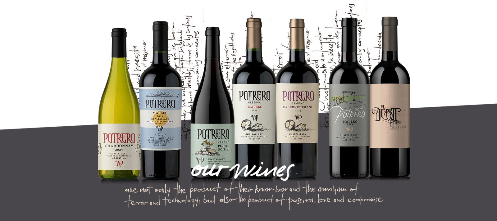 our wines Web_grande